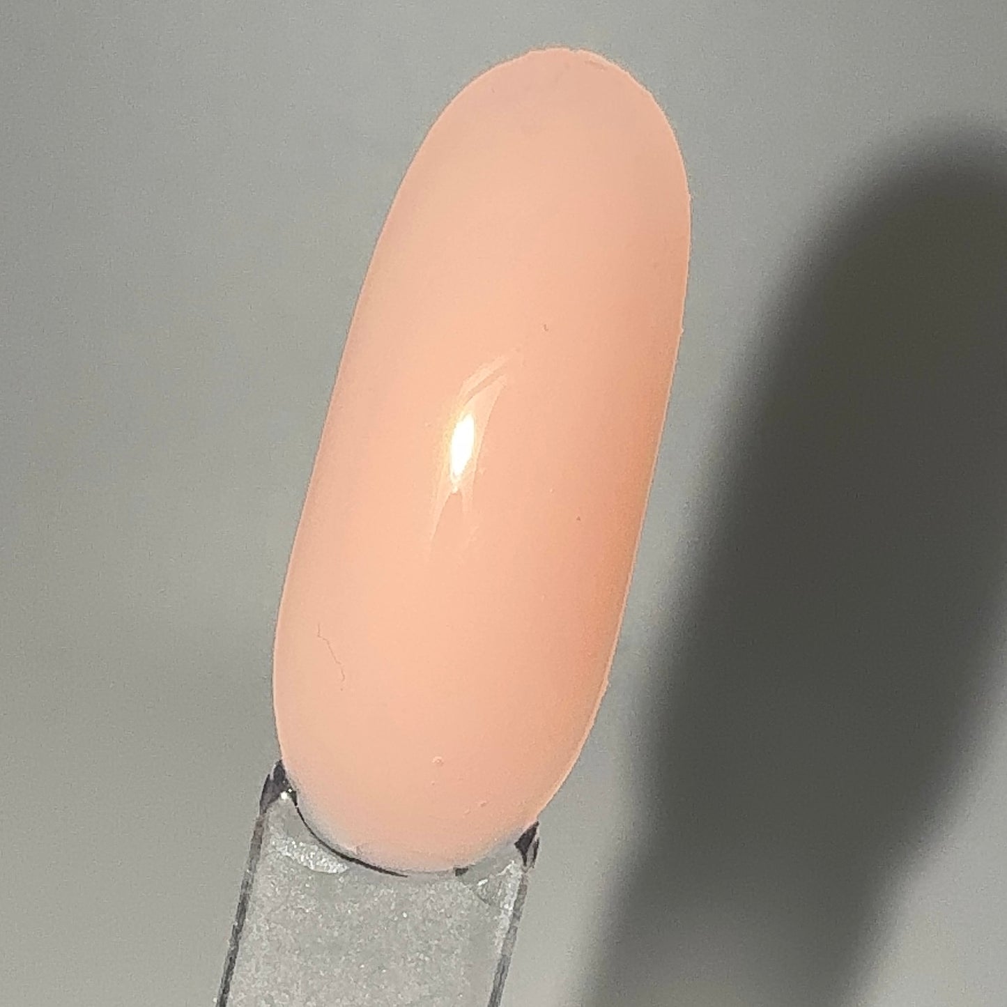 Ultimate Polygel Neutrals Bundle - 4 Shades + Polygel Brush