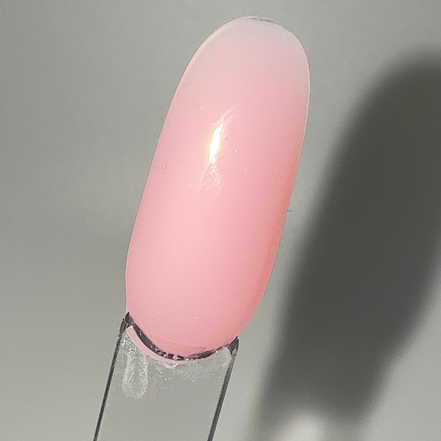 Complete Polygel Nail Artist’s Bundle - Tier 2